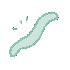 便が細くなった